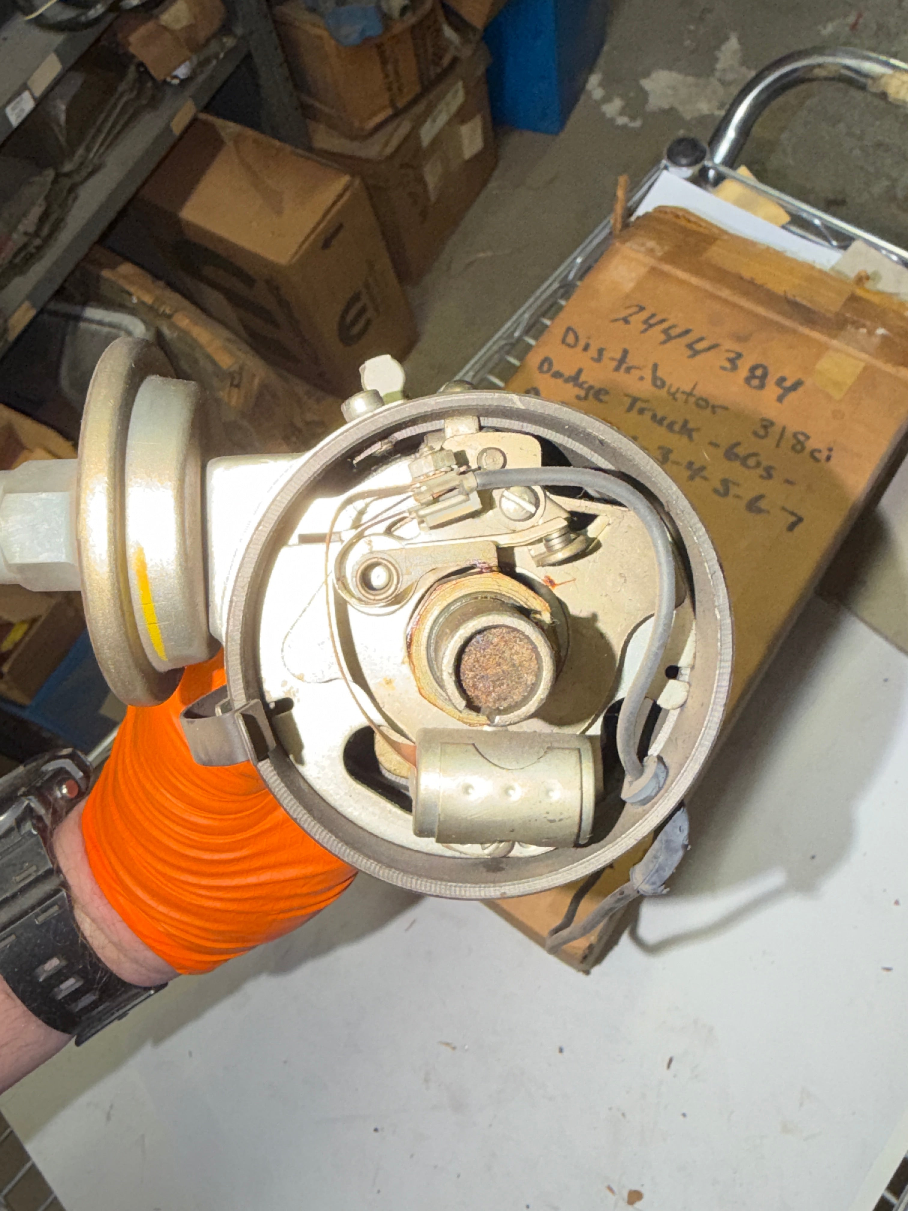 2444384 - single point distributor 318 poly truck 1960-67 truck - 1960-67 poly 318 truck