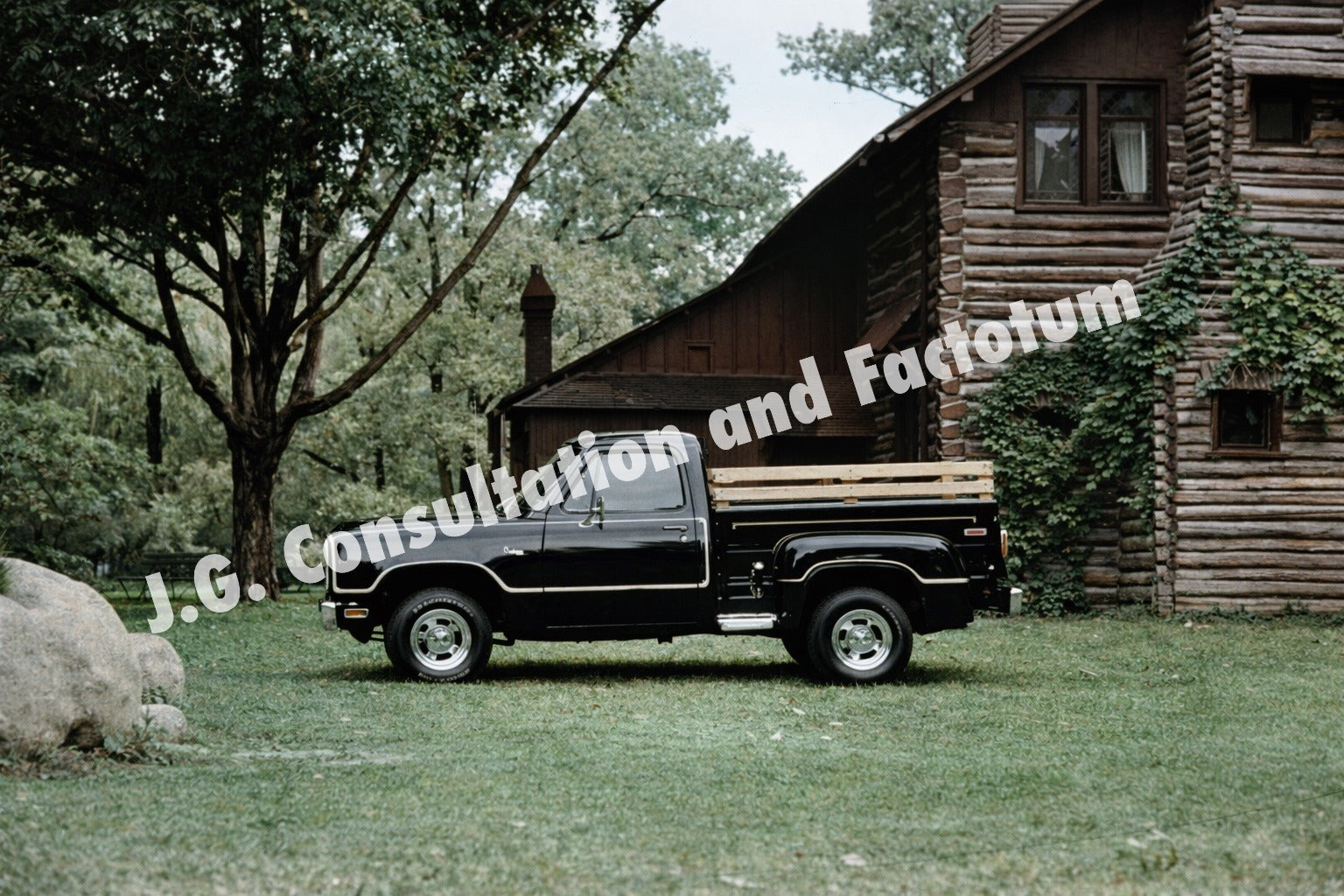 1978 D150 Custom Warlock Print