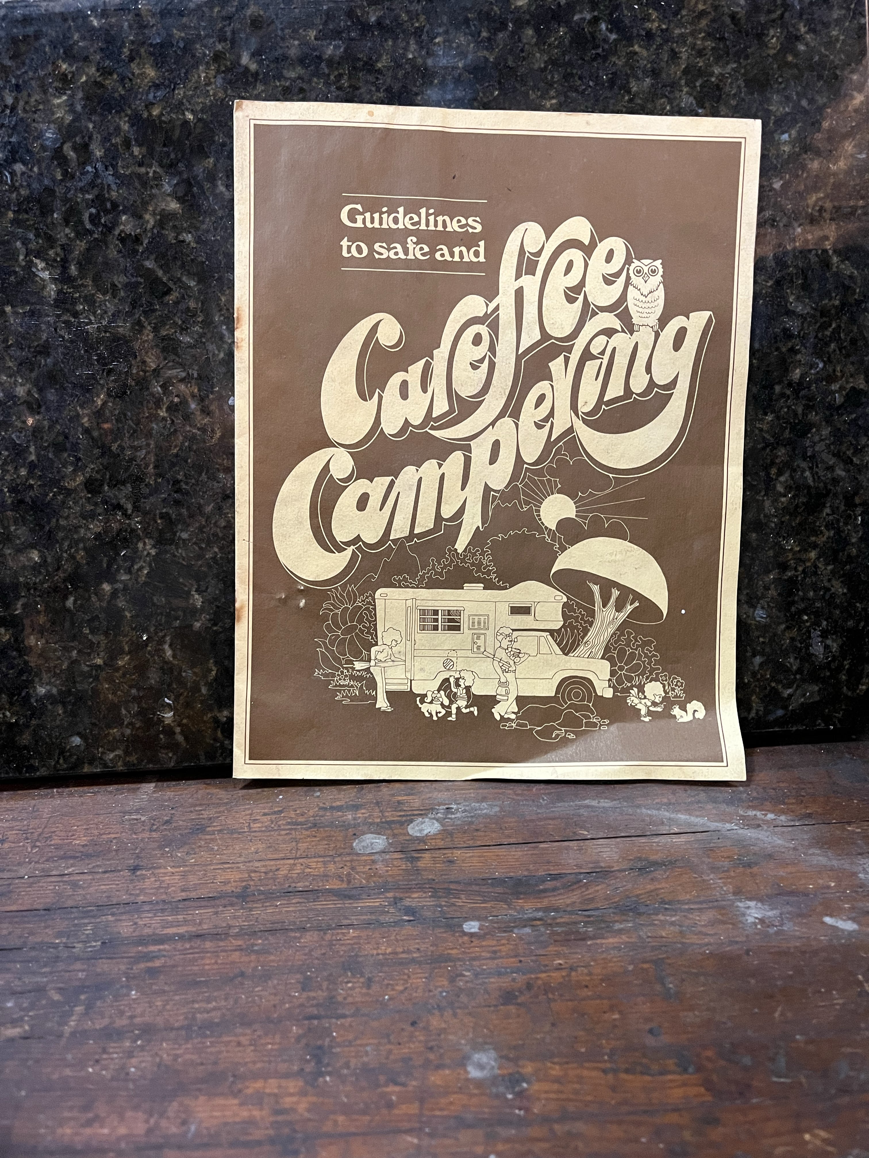 Dodge Guidelines to Safe and Carefree Campering