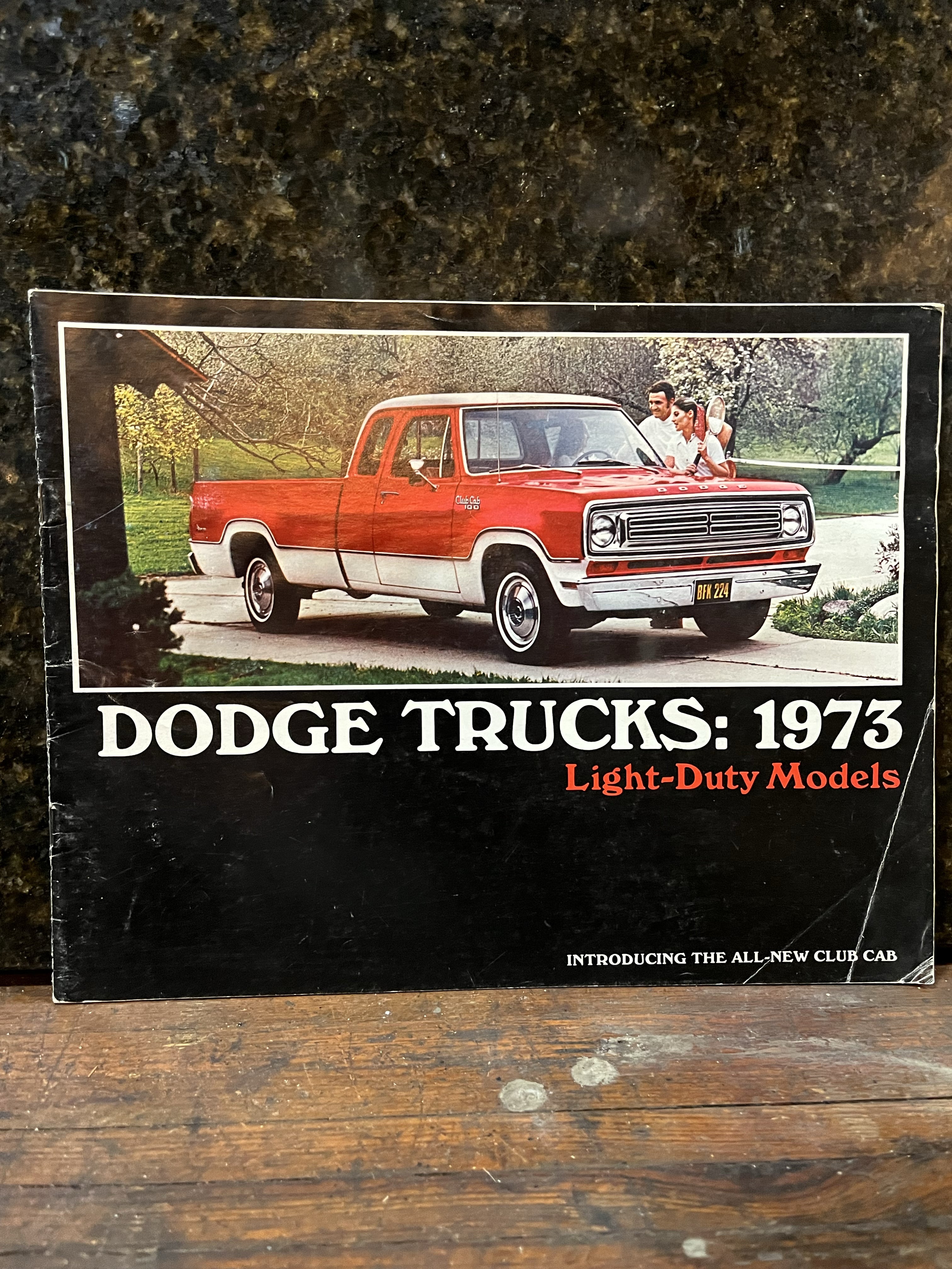 Dodge Trucks: 1973 Light-Duty Models